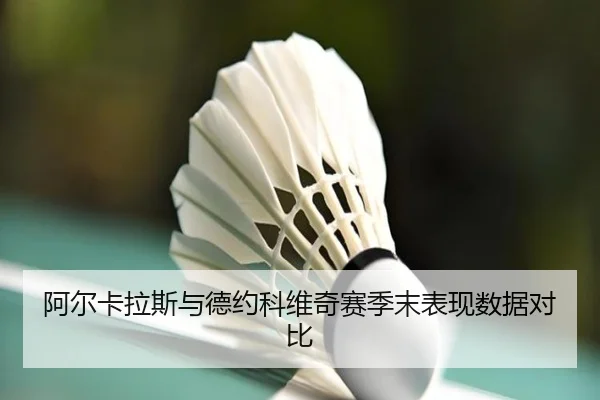 阿尔卡拉斯与德约科维奇赛季末表现数据对比（fanyaesposts）